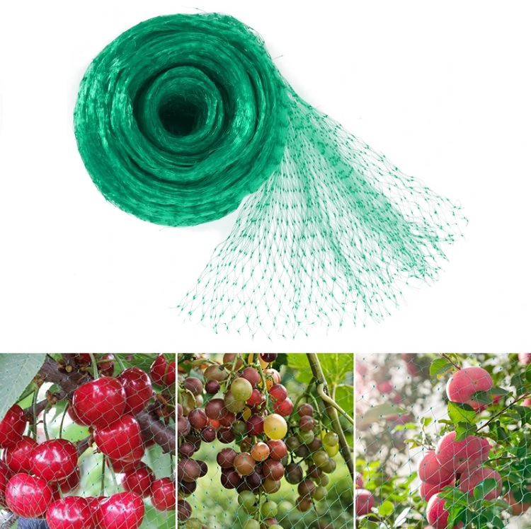 Plasa de protectie impotriva pasarilor, 2 x 10 m