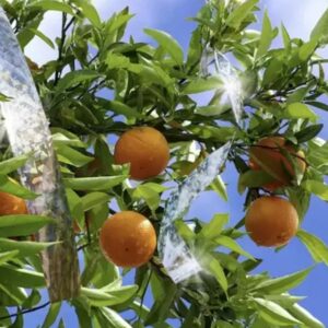 Banda Reflectorizanta Impotriva Pasarilor, 45 M - Sperietoare de Pasari